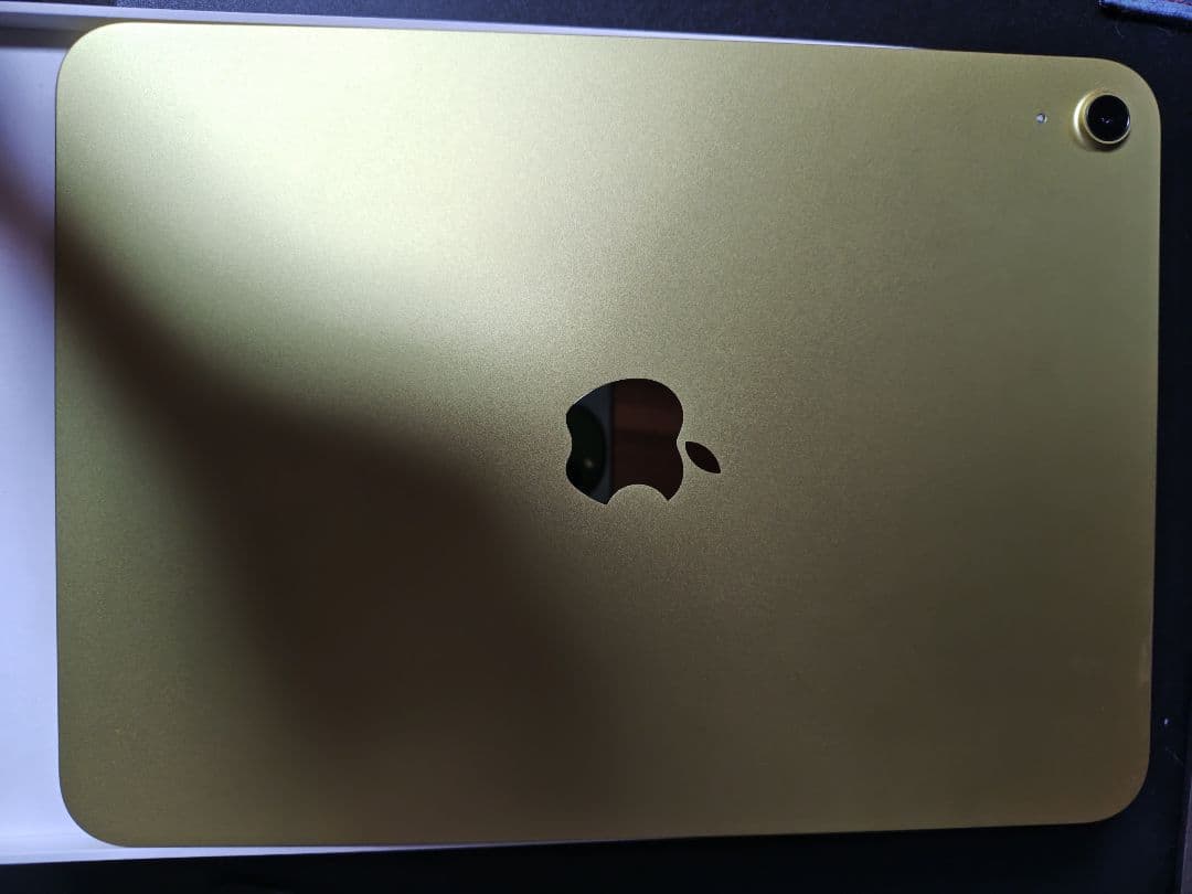 iPad (A16) Wi-Fi 128GB 本体　+おまけ