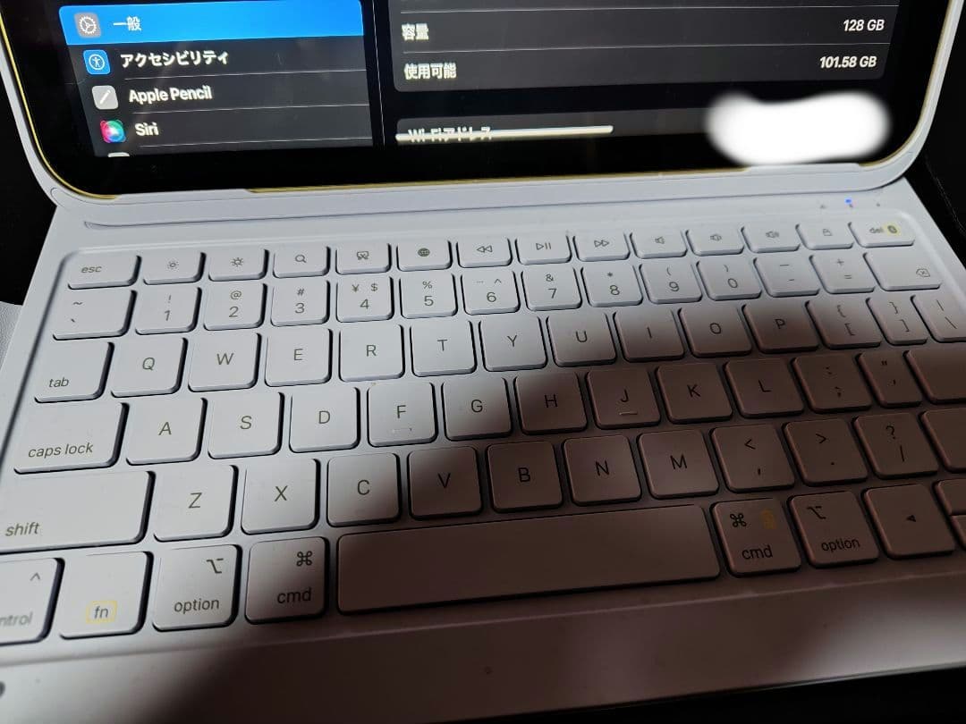 iPad (A16) Wi-Fi 128GB 本体　+おまけ