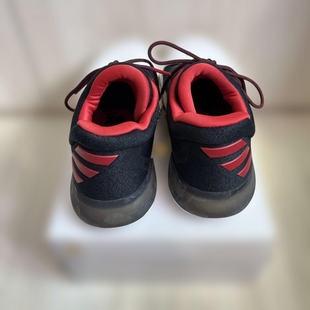 シューズ(男性用) HARDEN VOL. 1 Crazy X - ROAD 27cm