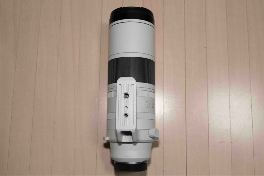 アリ Canon RF 200-600mm F4.5-5.6 USM