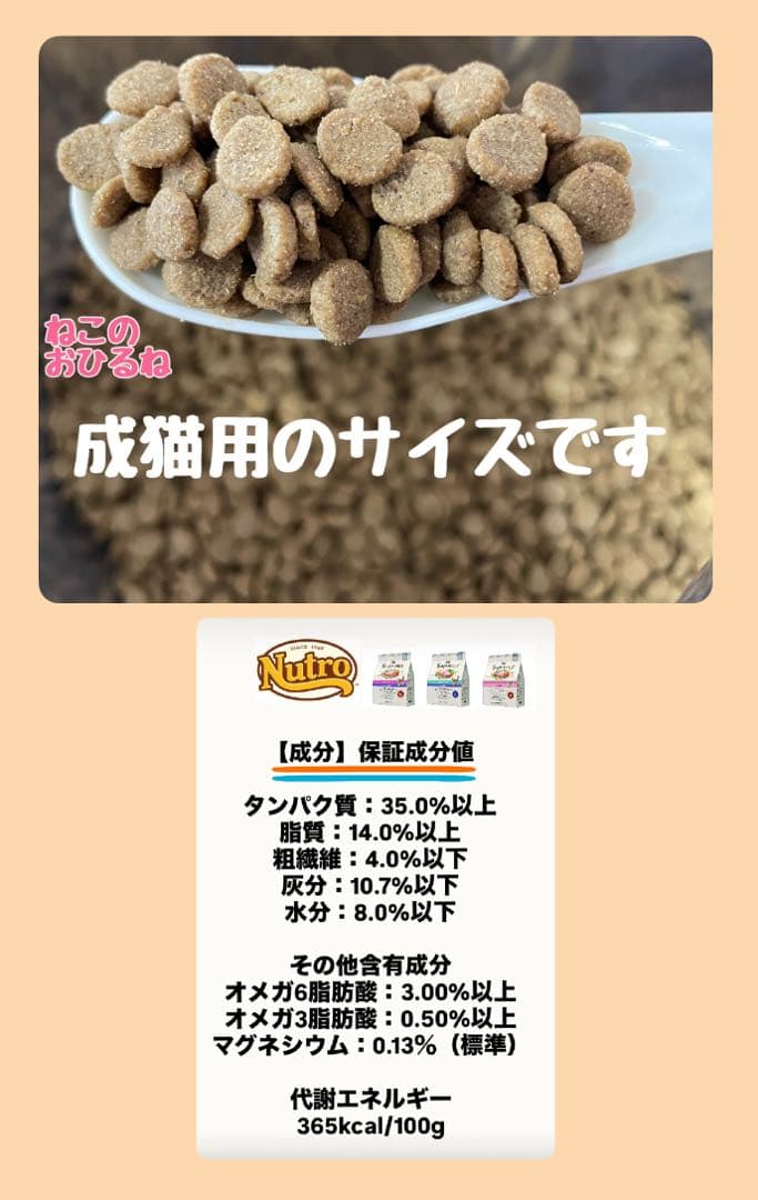 ニュートロ　シュプレモ 　成猫&子猫用ミックス3kg 各１袋　②