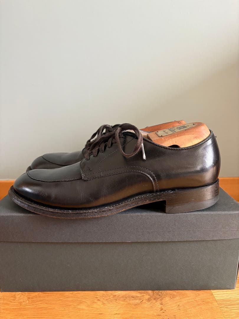 Alden 54411 vチップ anatomica別注　6 1/2