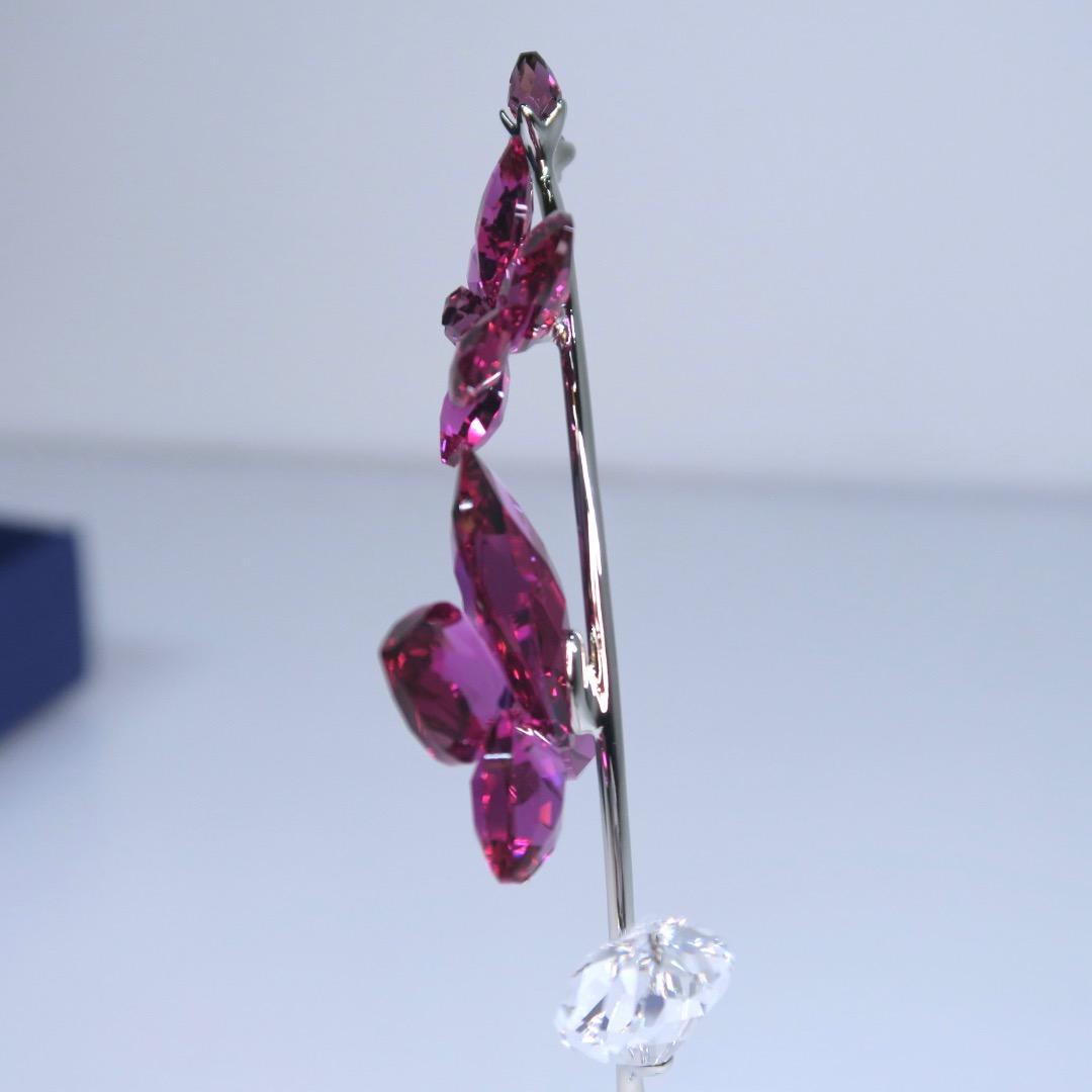 スワロフスキー Swarovski Flower Dreams オーキッド