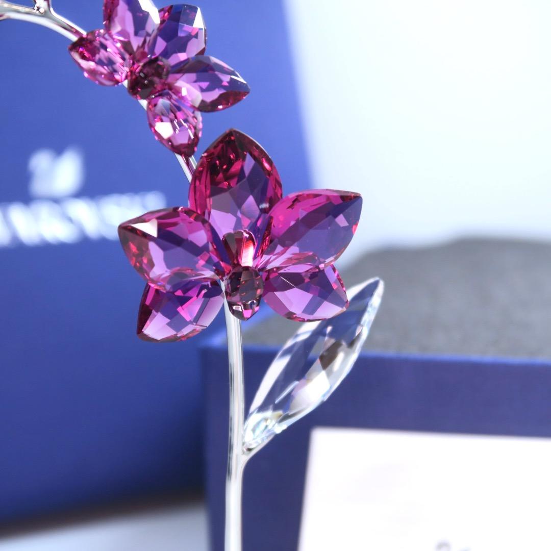 スワロフスキー Swarovski Flower Dreams オーキッド