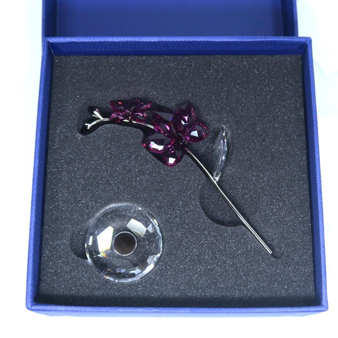 スワロフスキー Swarovski Flower Dreams オーキッド