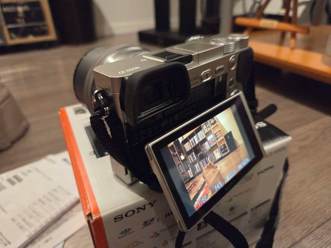 【美品.おまけ多数】ソニー α6000 ケース、チャージャー、ガイド本付