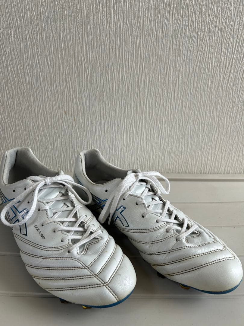 【ASICS DS LIGHT X-FLY PRO 3】28.0cm