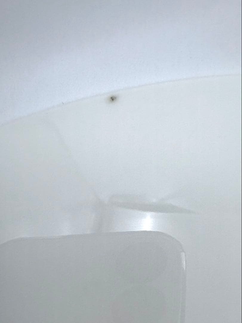 ウェッジウッド ワイルドストロベリー　27cm プレート　4枚セット