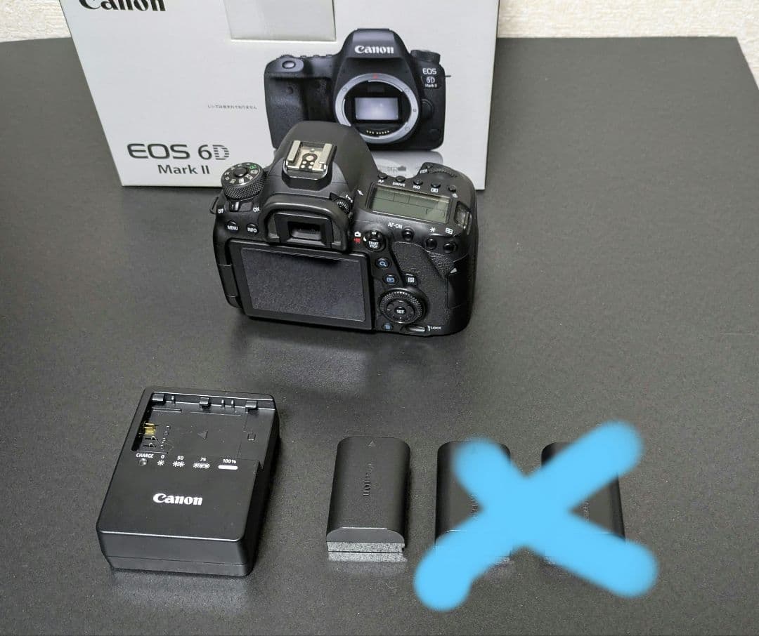 Canon EOS 6D Mark II 本体 美品／付属品完備／動作良好