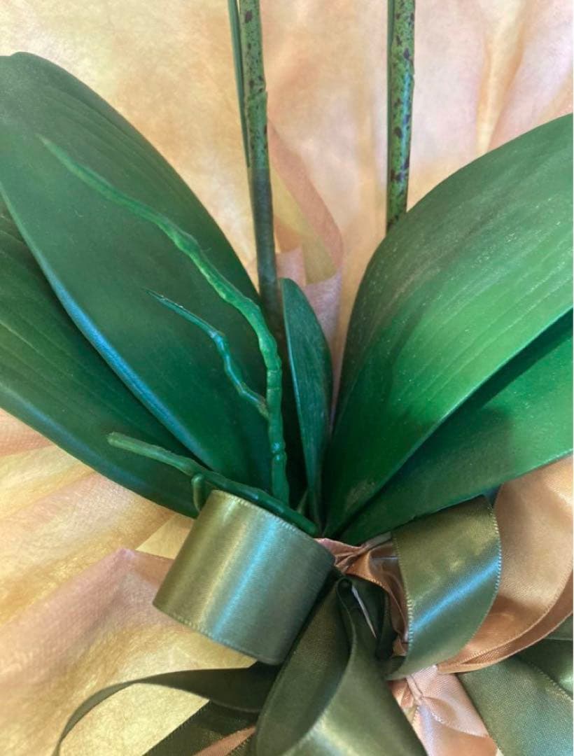 光触媒　人工観葉植物　ウォールグリーン　フェイクグリーン　リアル胡蝶蘭70hg