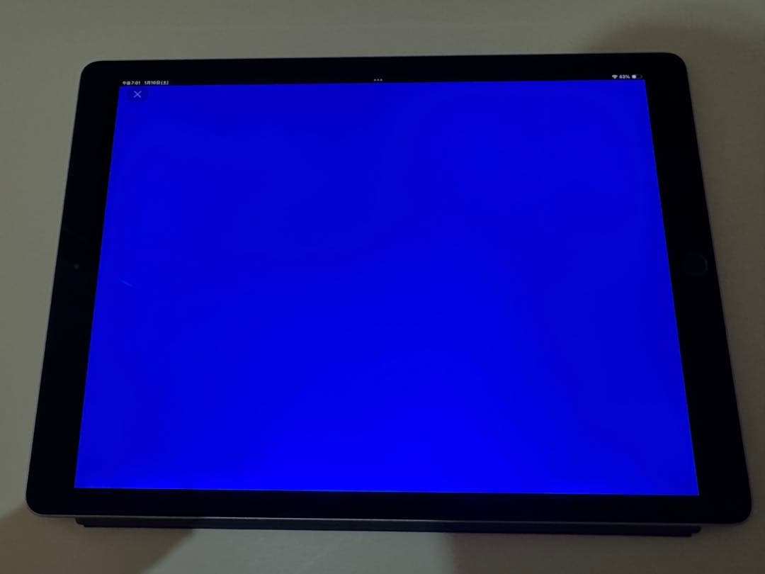 iPad Pro 12.9インチ 第2世代 Wi-Fiモデル 256GB