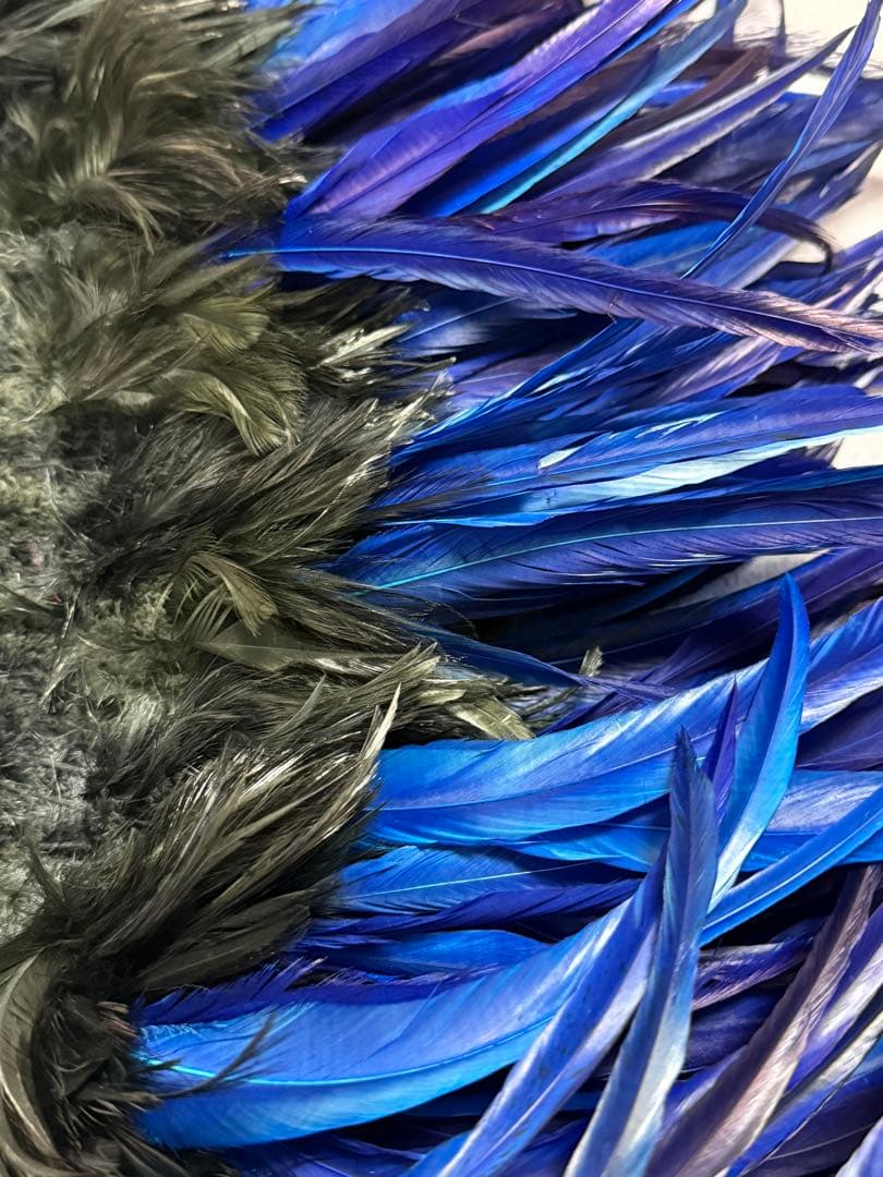 タヒチアンダンス　羽根　ヒップベルト　ブルー　黒　衣装