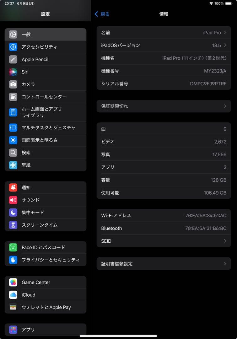 iPad Pro11インチ第2世代 WiFi 128GB スペースグレー