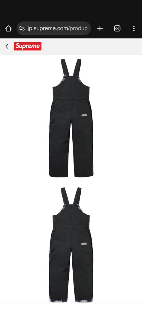 パンツ Supreme Dickies Flannel Lined Overall