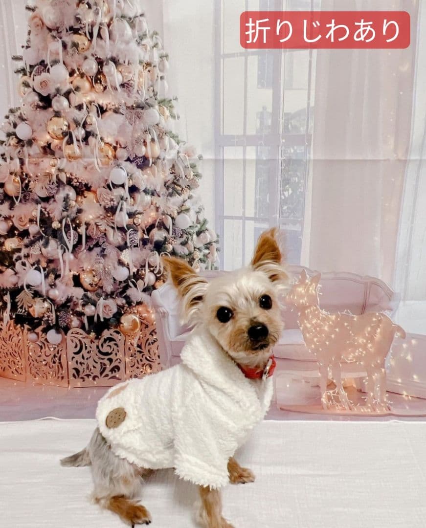 背景布×10枚+2　ペット撮影用ブース　トリミングチョーカー販売中　ペットサロン