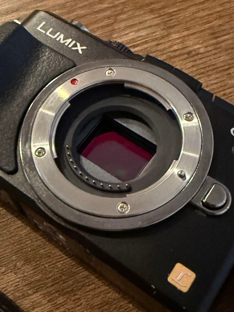 LUMIX GX1 デジタルカメラ 本体と充電器