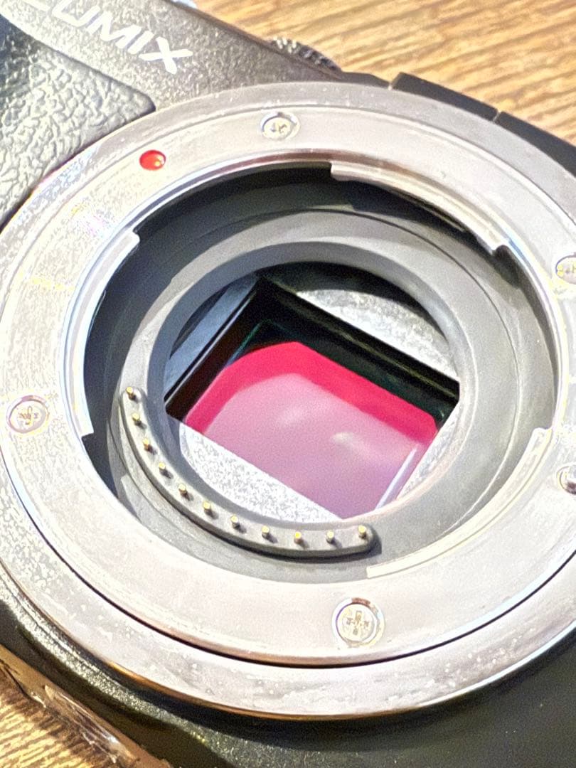 LUMIX GX1 デジタルカメラ 本体と充電器