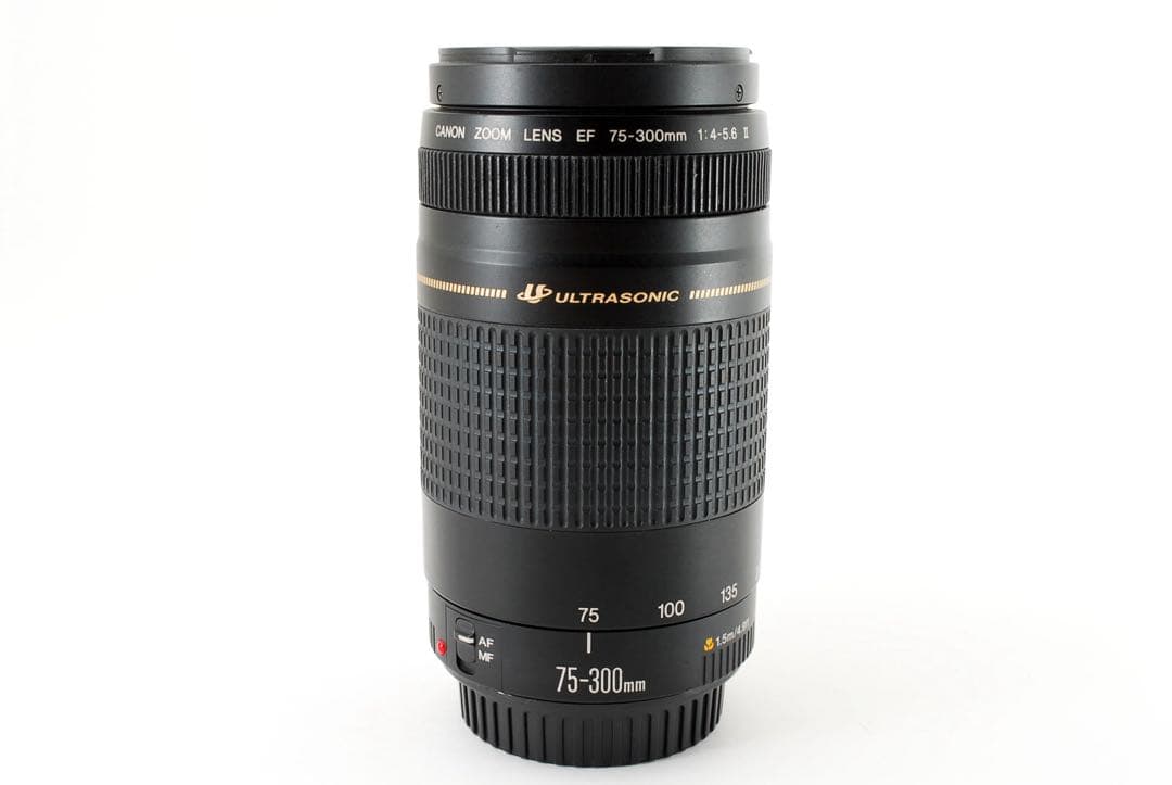 ☆人気の望遠レンズ☆イベント☆スポーツ☆Canon EF75-300㎜