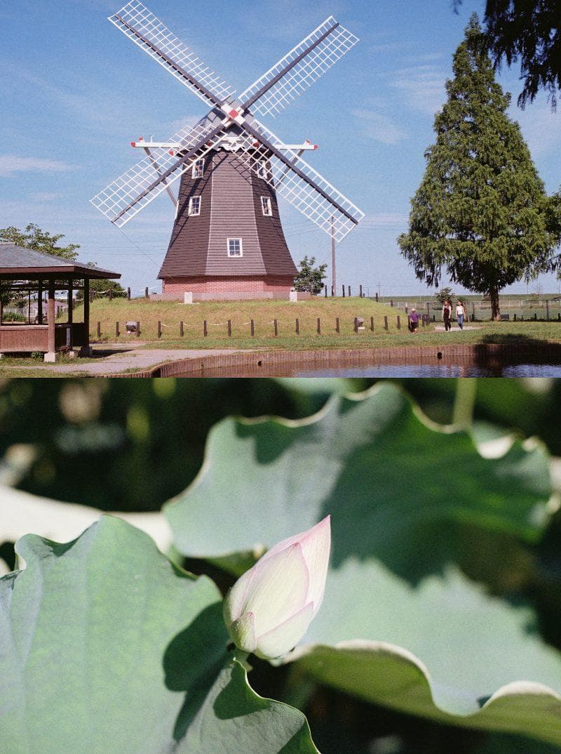 Canon A-1 FD 50mm f/1.4 S.S.C. 分解整備済 保証付