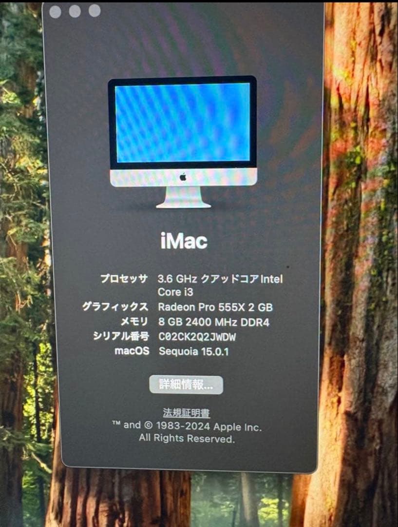 Apple iMac 21.5 シルバー キーボード・マウス付き