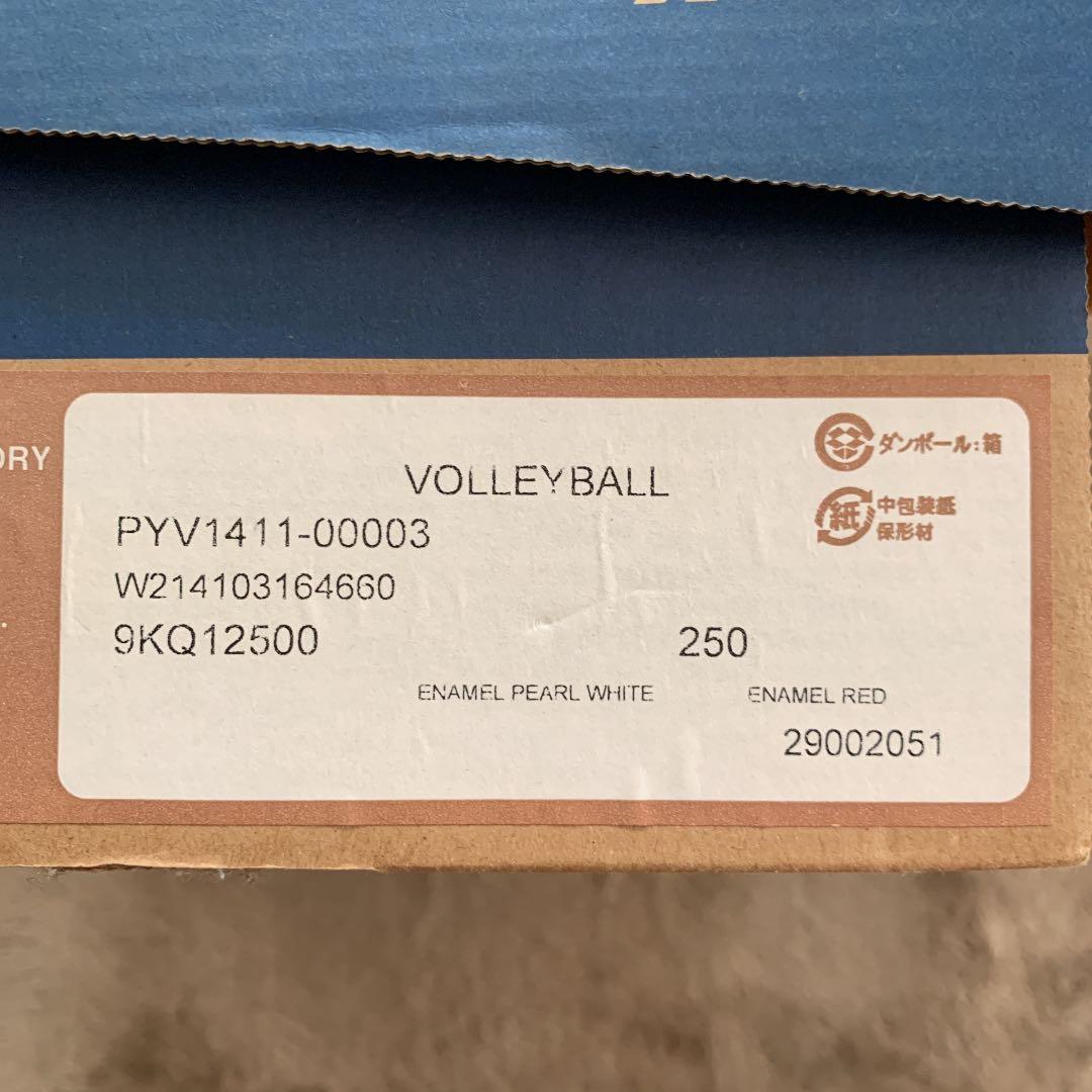 ミズノバレーボールオーダーシューズ　値下げ交渉歓迎