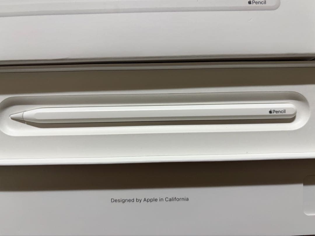 Apple Pencil (第2世代) 本体と付属品