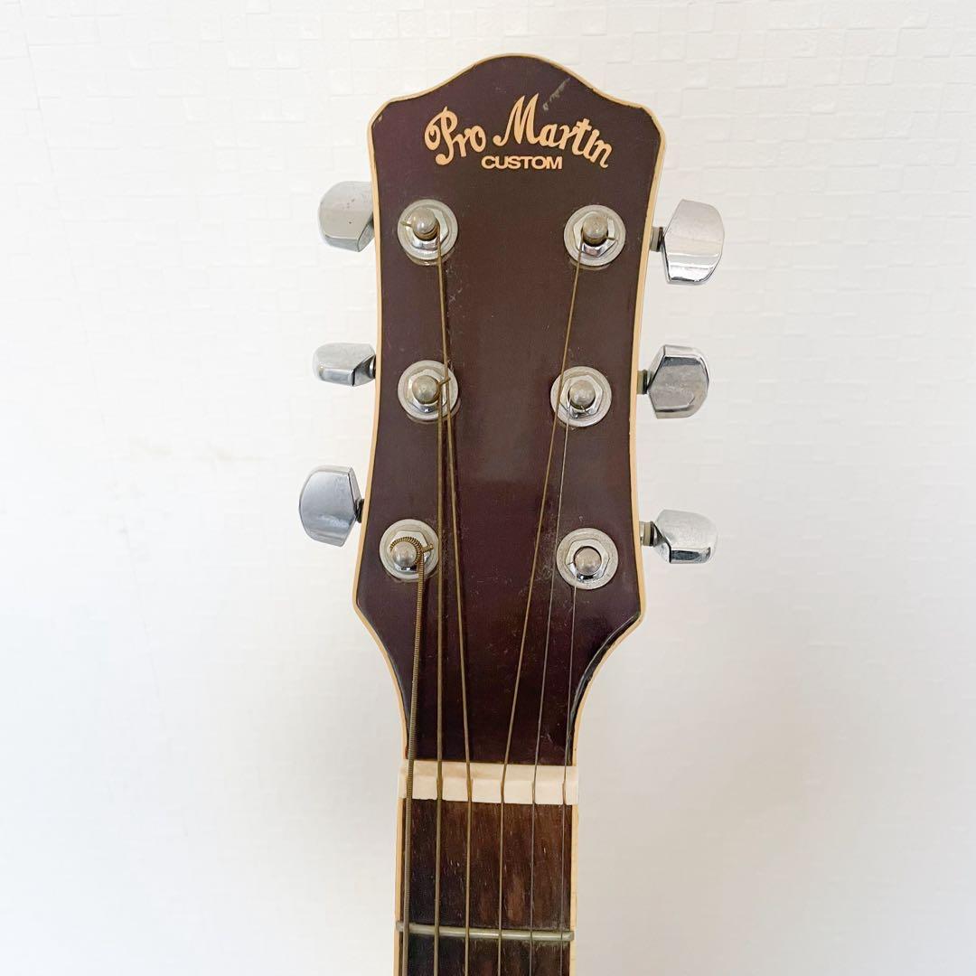 Pro Martin　custom　　EA500W　WRS エレアコ　ギター