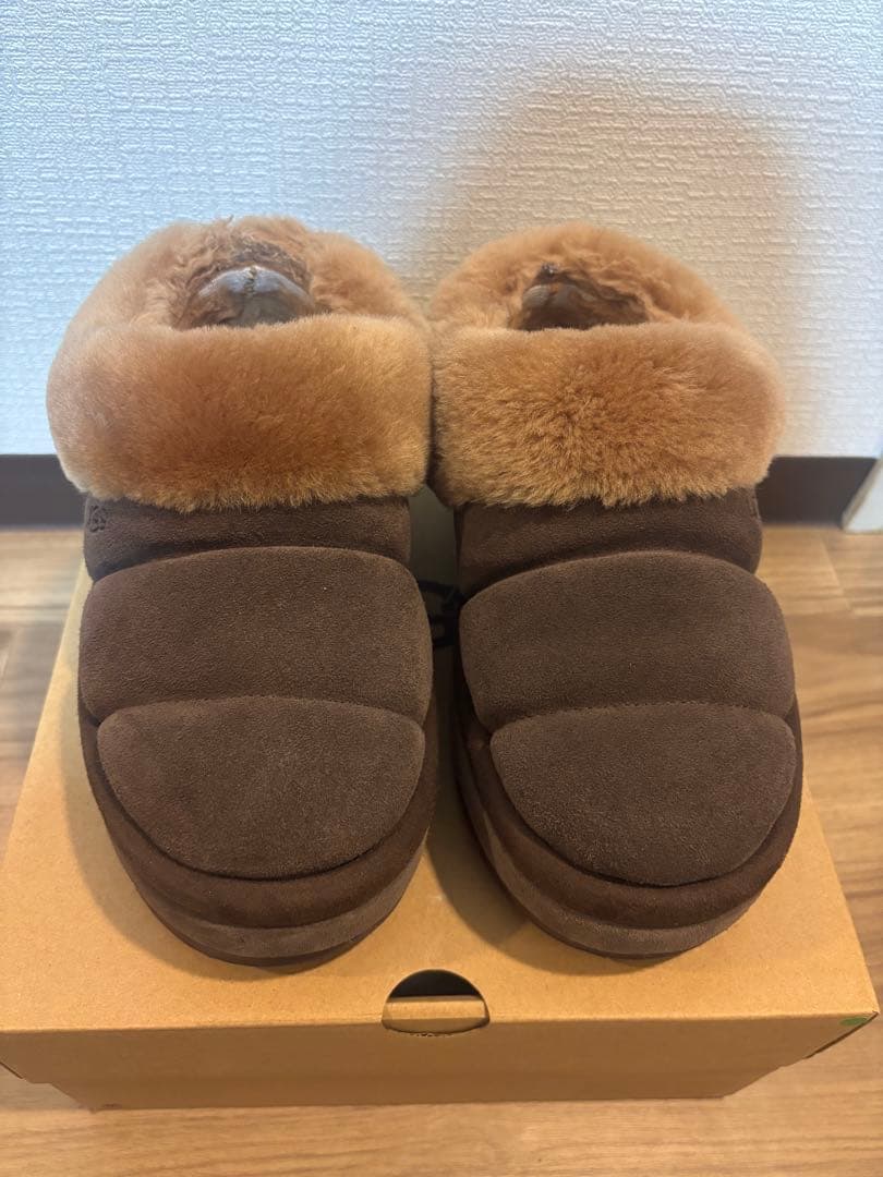 ugg ダズリータ　ブラウン