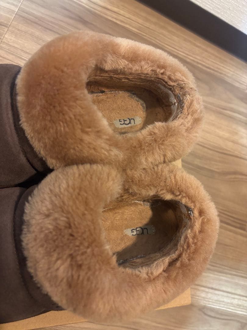 ugg ダズリータ　ブラウン