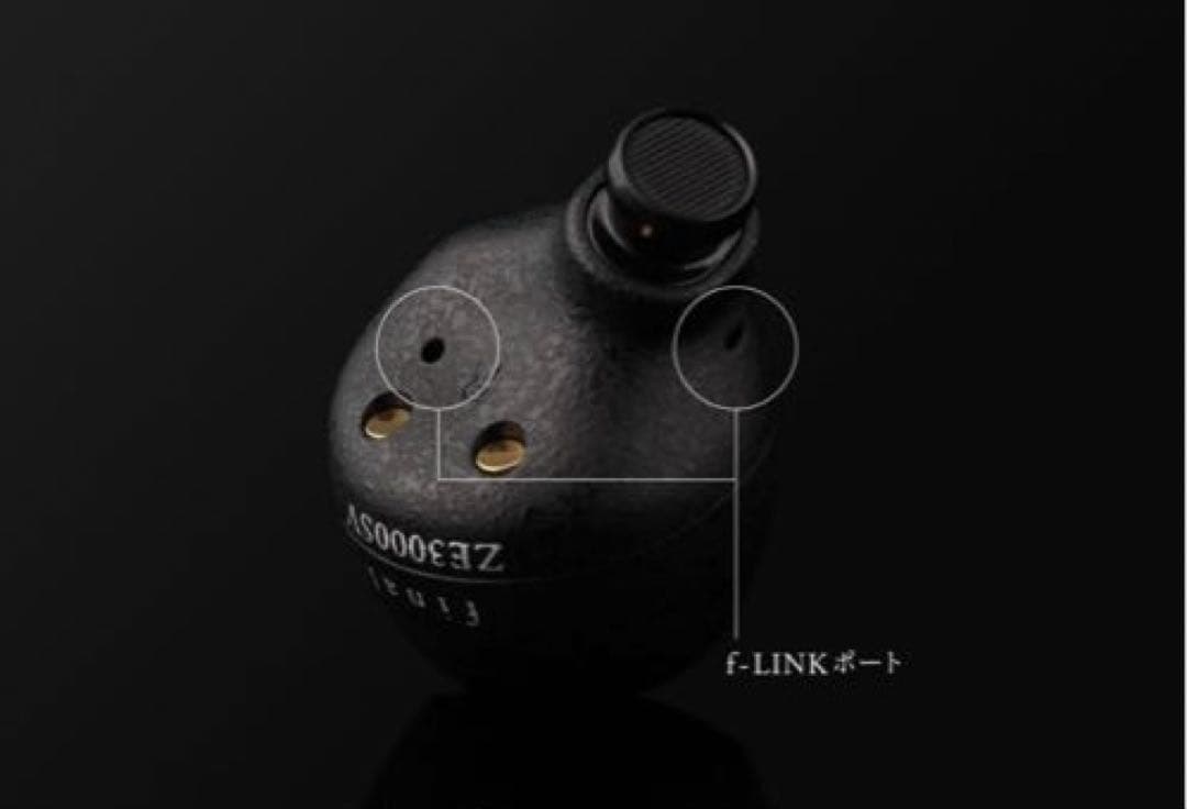 final ZE3000SV ブラック 完全ワイヤレスイヤフォン