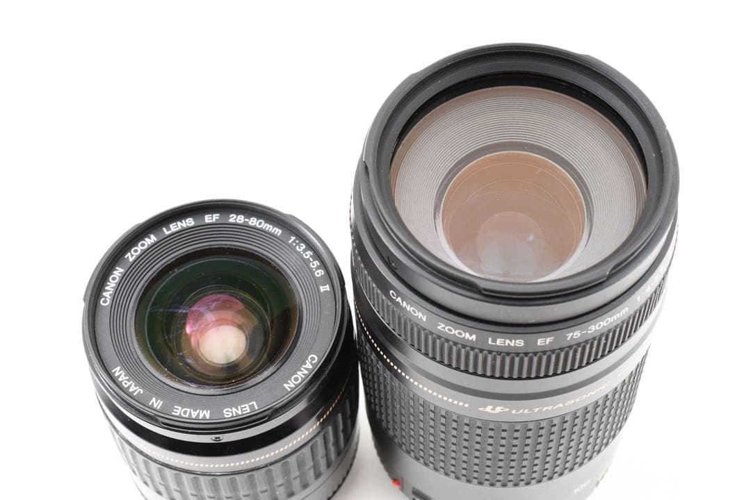 一眼レフカメラ Canon EOS 9000D標準&望遠ダブルレンズセット/