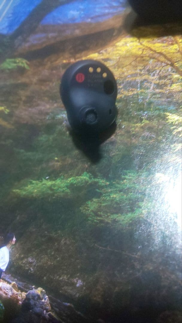 年始限定価格　ケース イヤホン両方バッテリー新品交換　wf-1000xm4おまけ