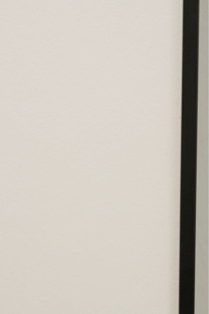 LUMIX S 24-105mm F4ズームレンズ S-R24105