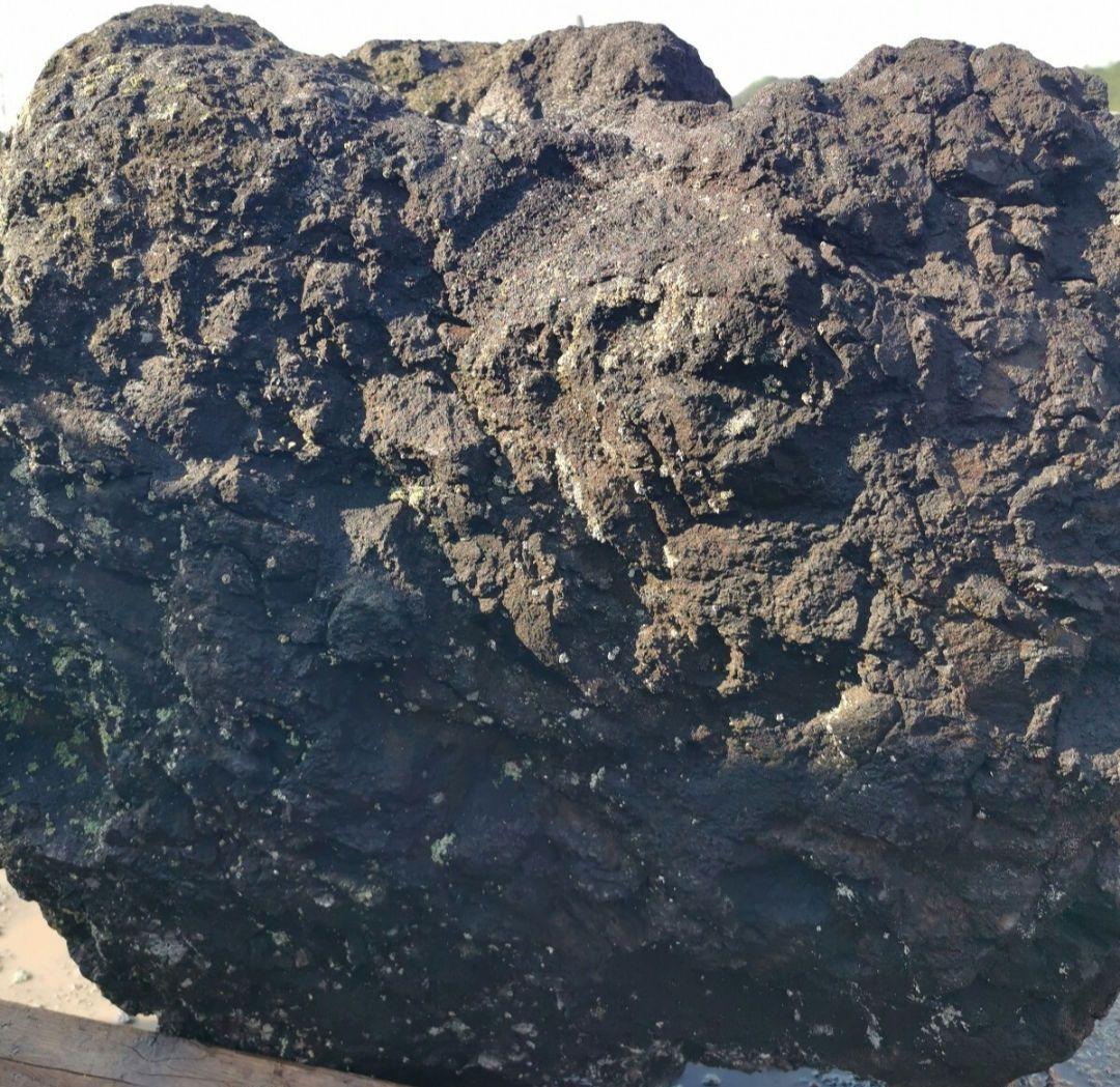 浅間溶岩石　302キロ　庭石　石　石材 庭　坪庭　ガーデニング