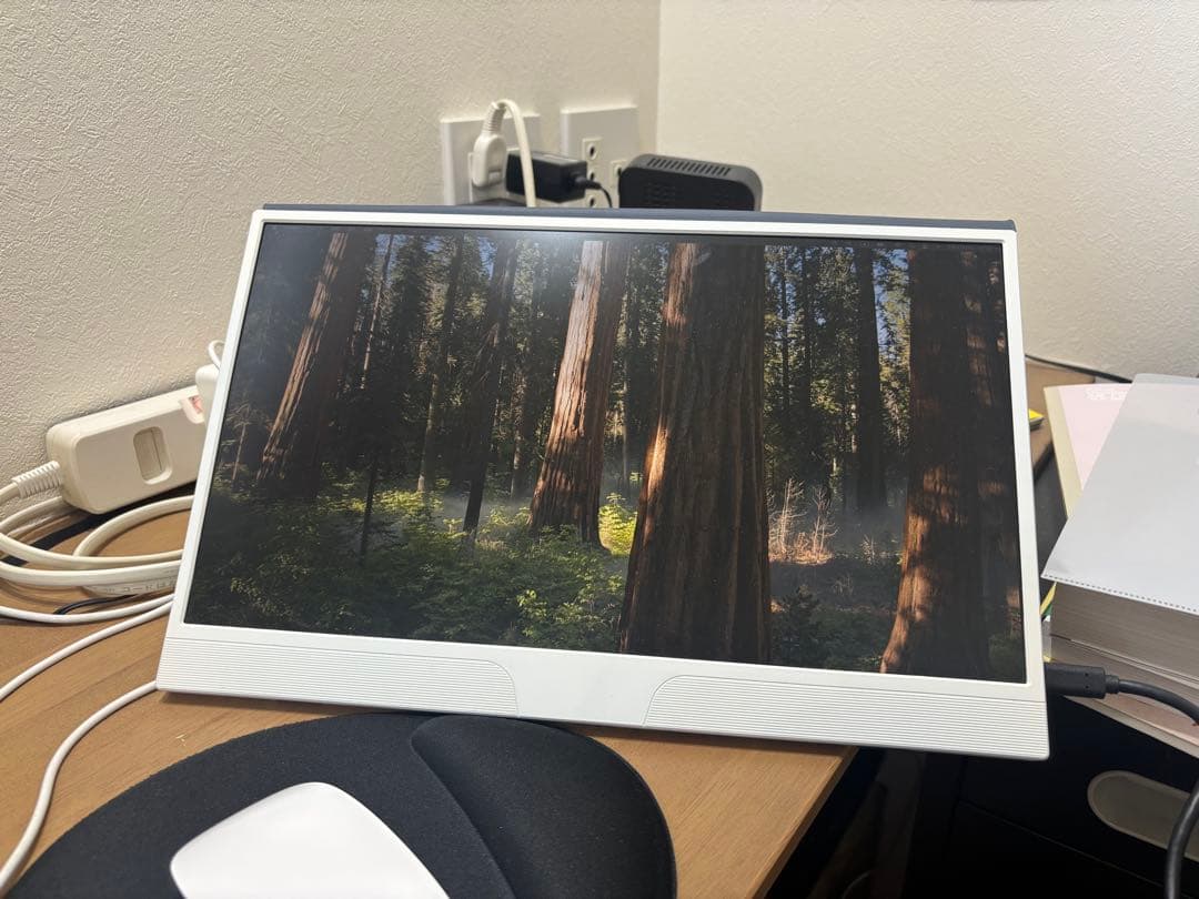 MacBook本体 MacBook Pro2019