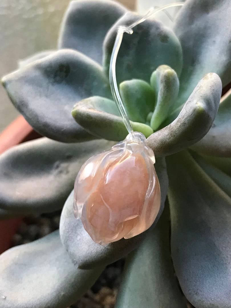 ゴビ石−1431 ゴビ瑪瑙　彫刻　『モクレン』