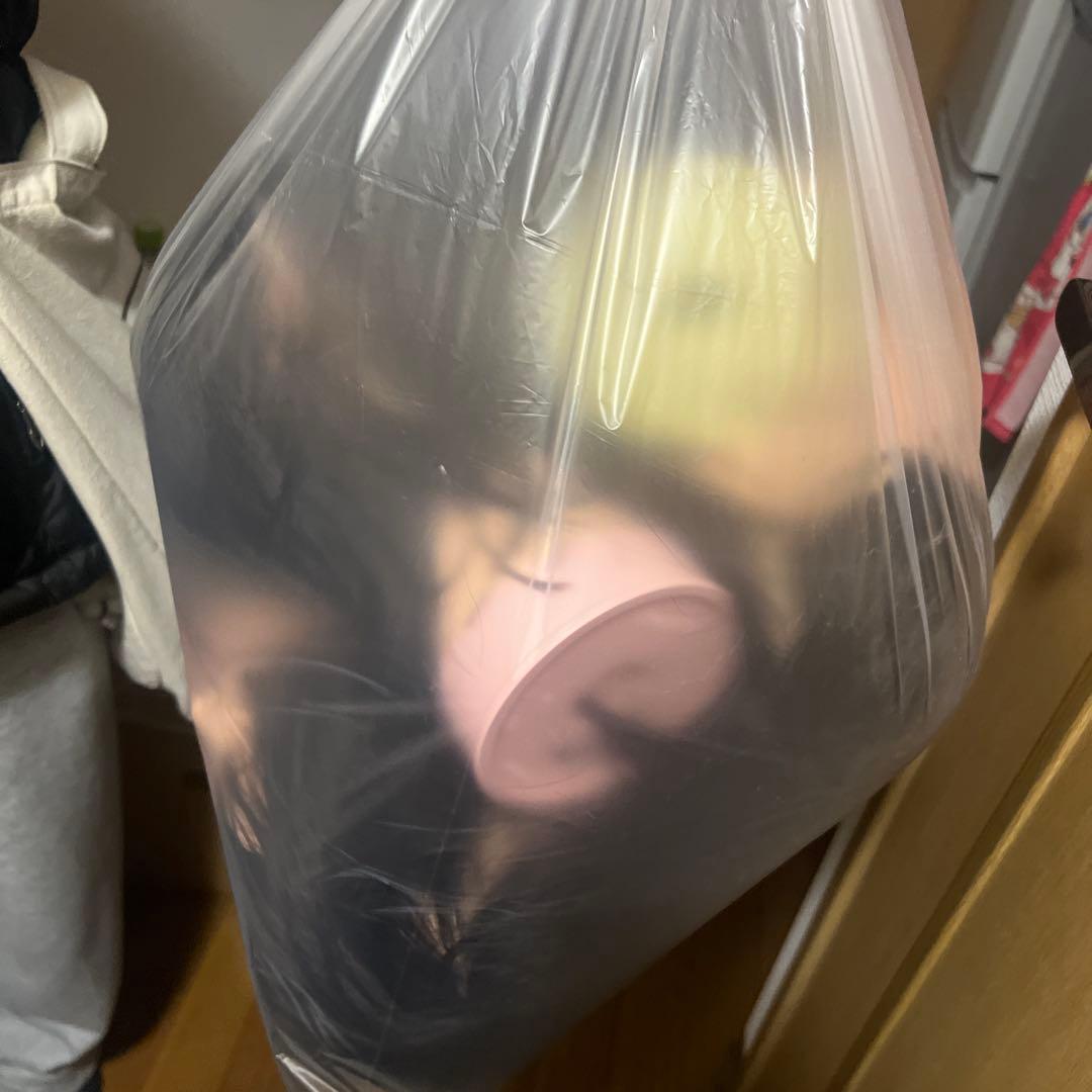 ウィッグ
