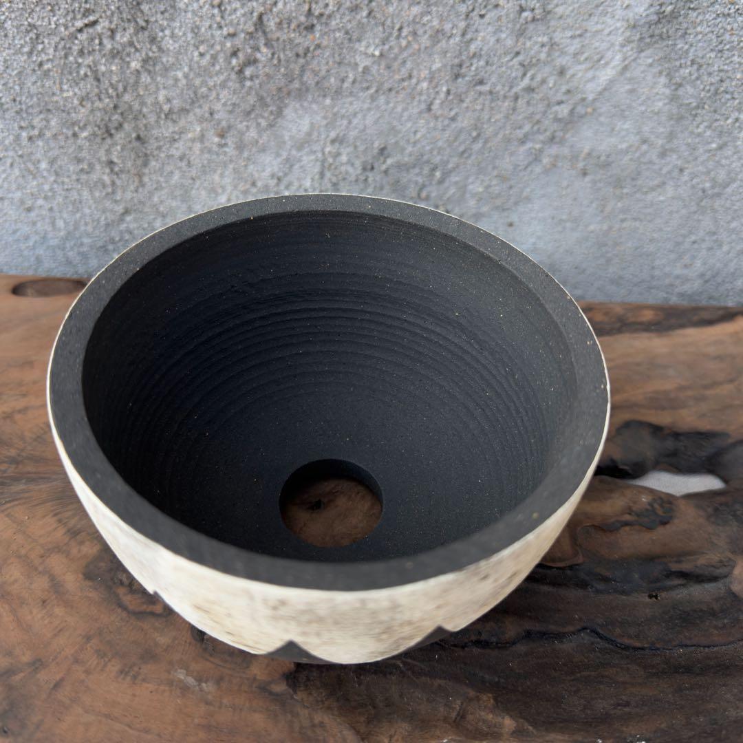 手作植木鉢 グラデーション植木鉢（ 塊根植物 グラキリス パキプス アガベ)