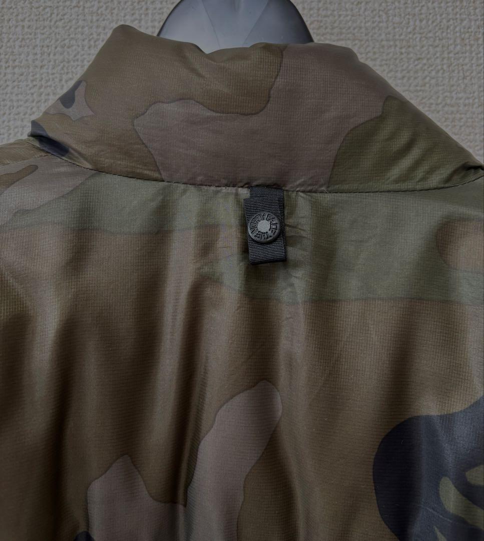 THE NORTH FACE SUMMIT SERIES ダウン