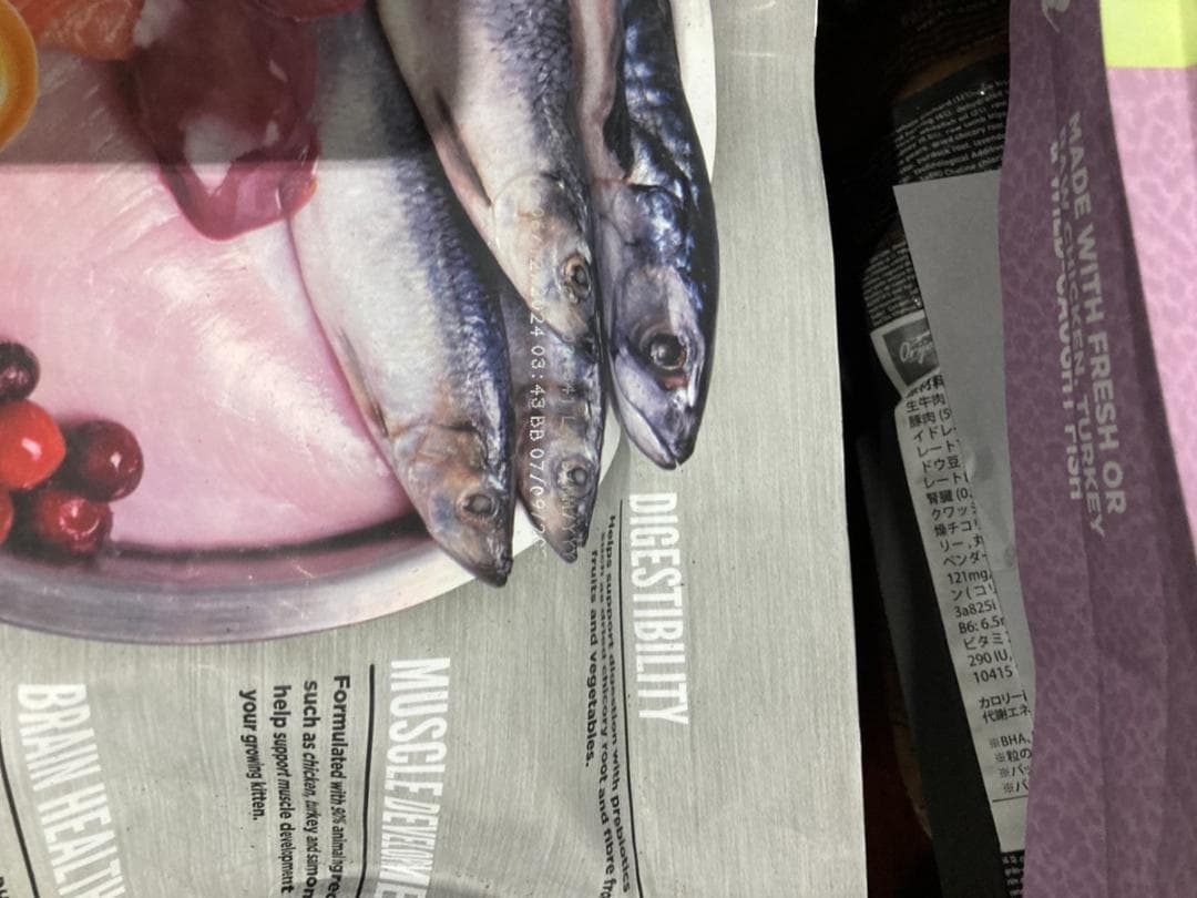 正規品 カナダ産 オリジン キトゥン キャットフード 5.4kg まとめ買い可