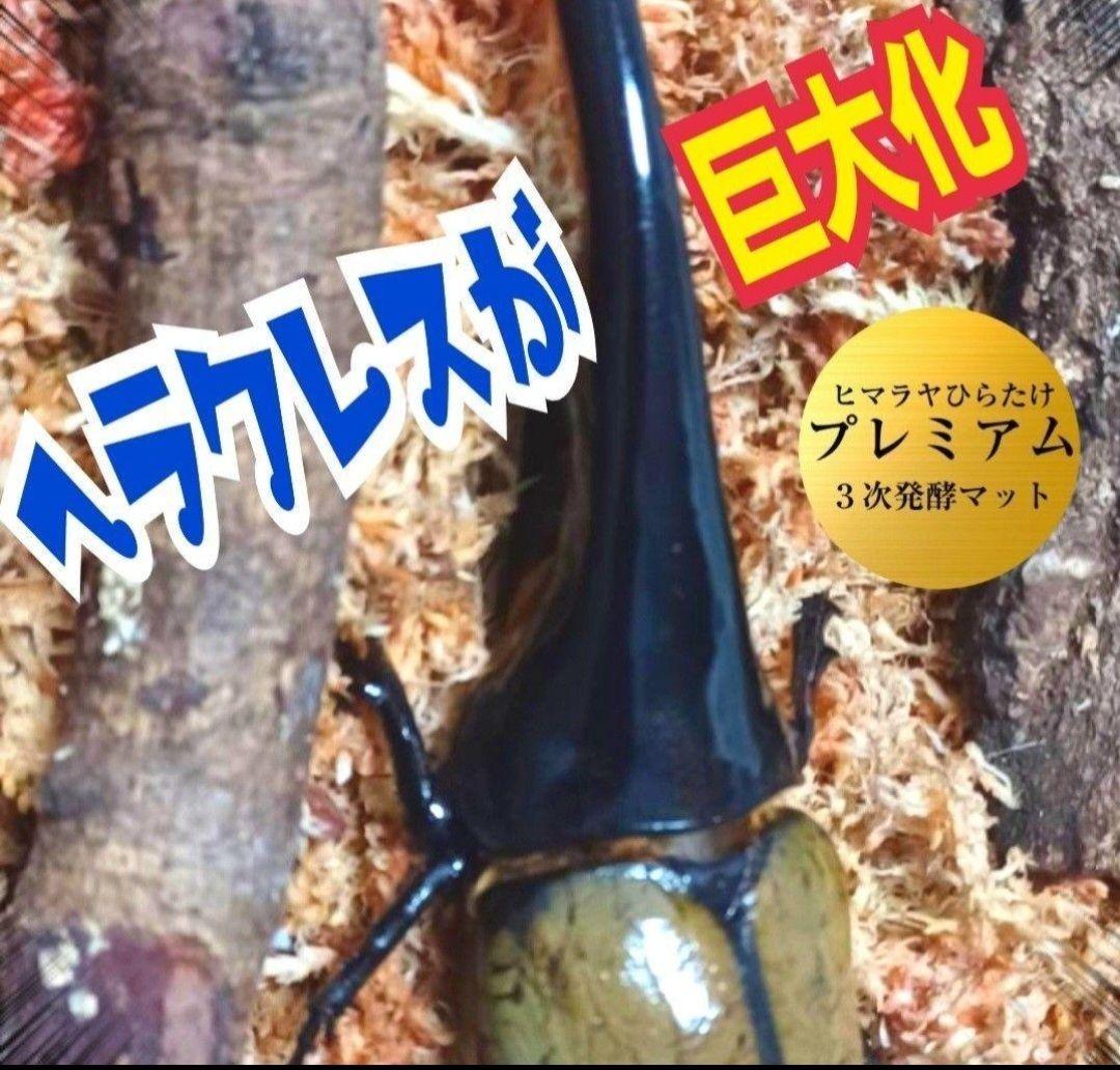 極上！プレミアム3次発酵ヘラクレスマット【4袋セット】幼虫巨大化！産卵にも抜群
