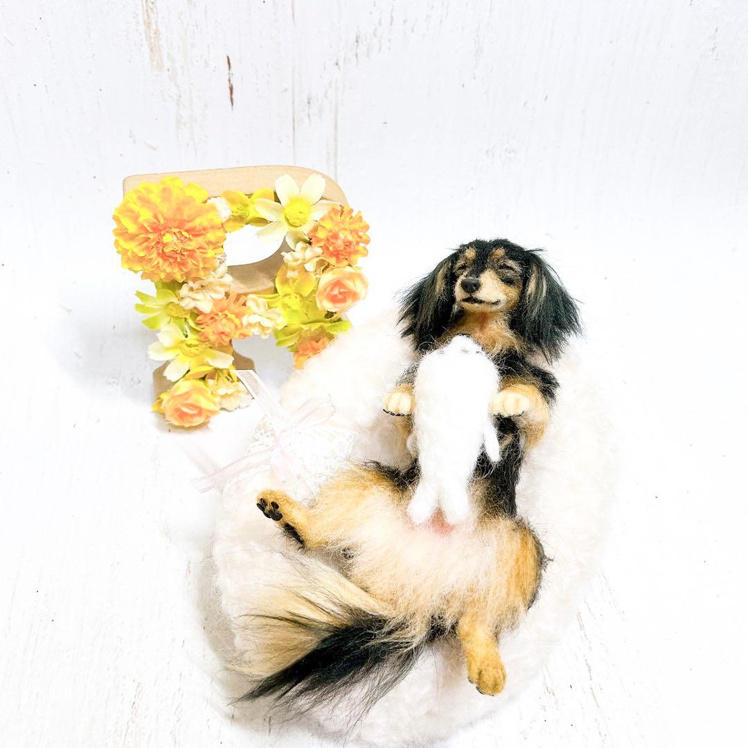 羊毛フェルト犬 ミニチュアダックス