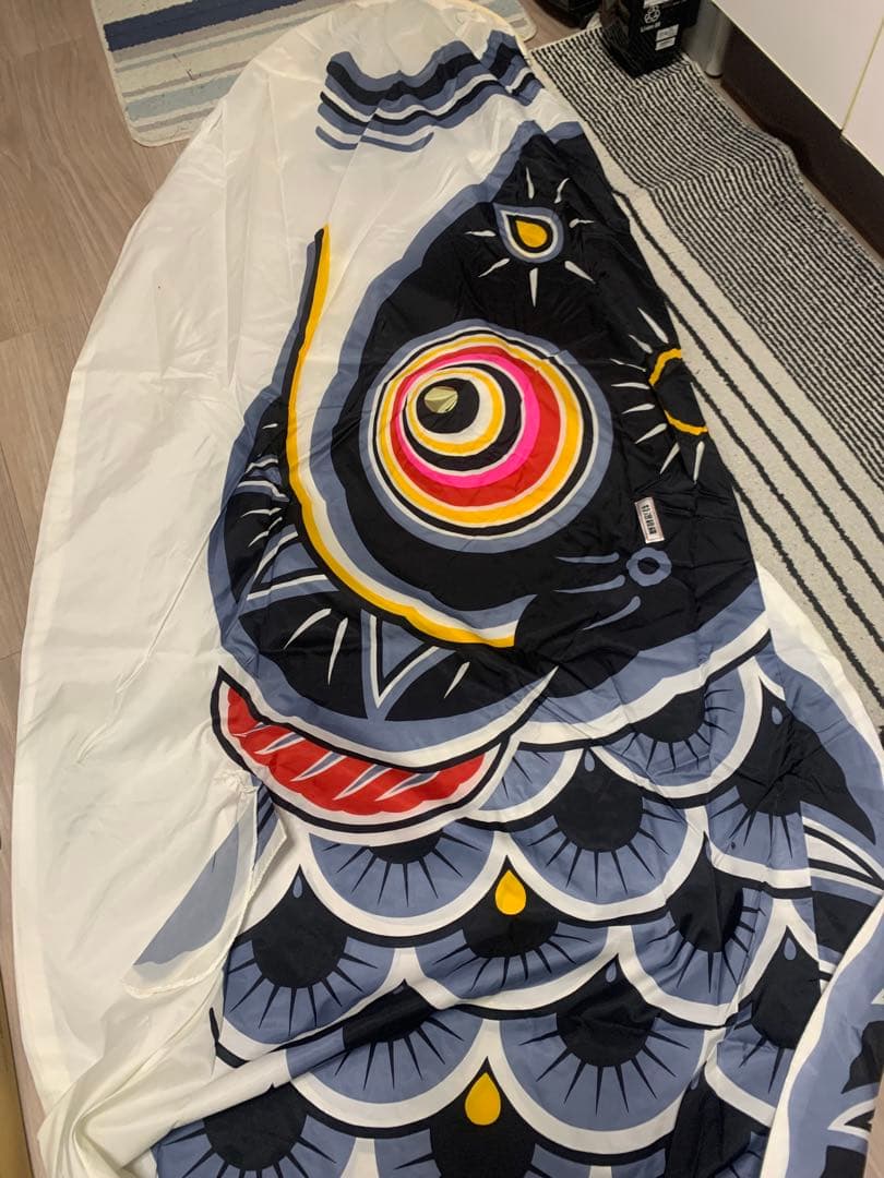 鯉のぼり　旭天竜　使用品　5Mセット　こいのぼり