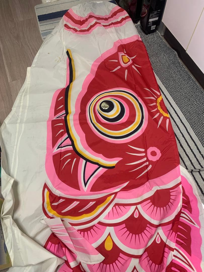 鯉のぼり　旭天竜　使用品　5Mセット　こいのぼり