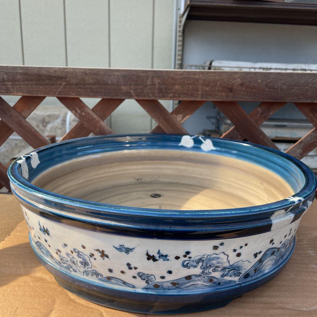 瀬戸鉢 【未使用品】盆栽鉢、植木鉢、盆栽小鉢、山野草鉢