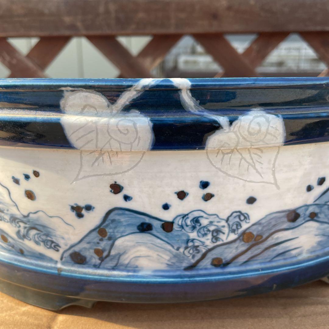 瀬戸鉢 【未使用品】盆栽鉢、植木鉢、盆栽小鉢、山野草鉢