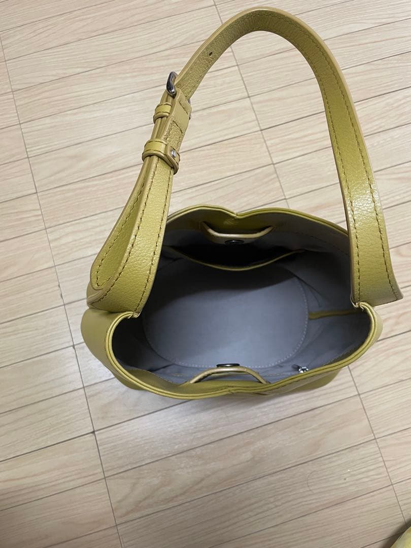 ミズバショウ　M イエロー