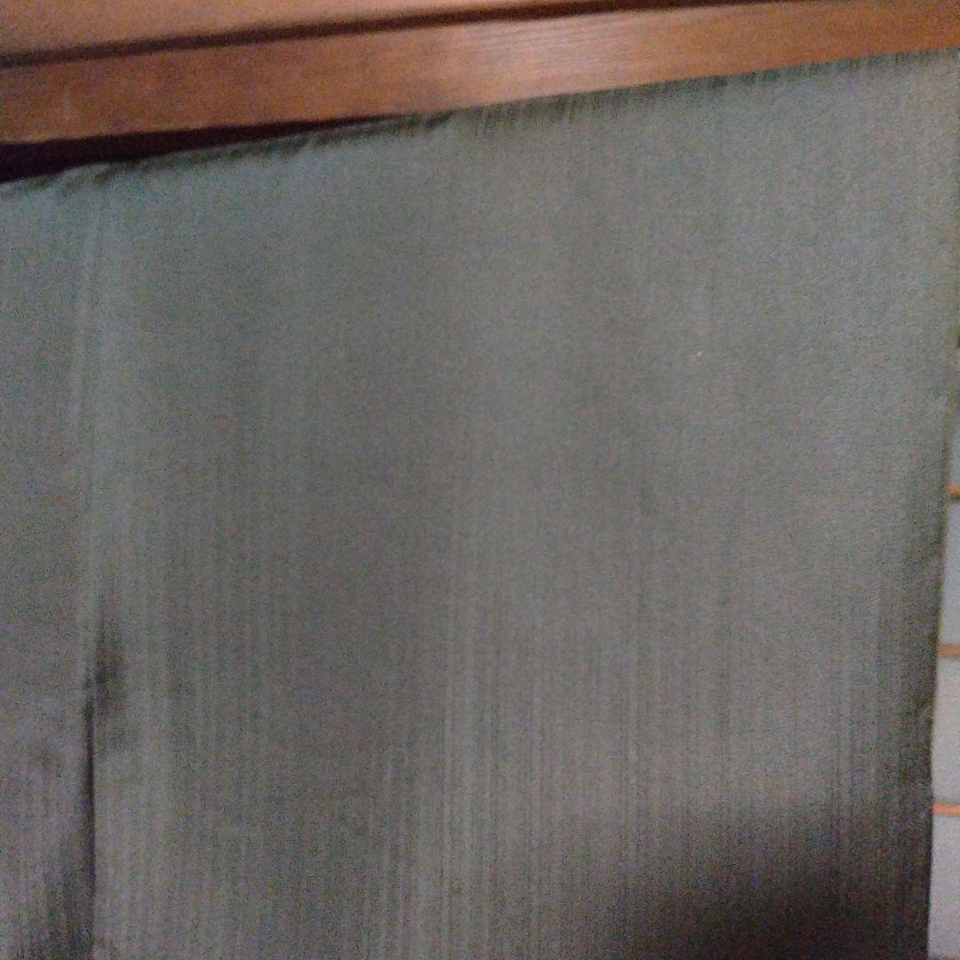 洗えるきもの英　色無地