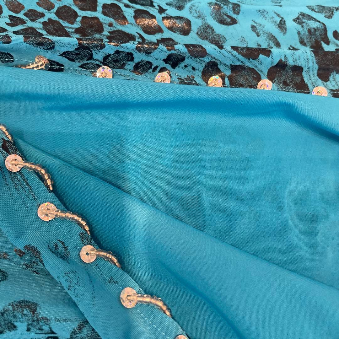 ⚠️早い者勝ち‼️ 美品❤️ベリーダンス　衣装　セットアップ　Ｌ