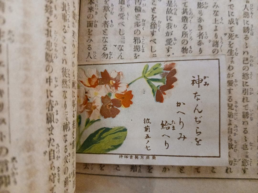 明治28年 新約全書 日本語聖書 注記入 古書